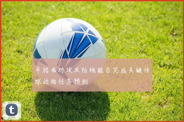 辛格面对埃及防线能否完成关键传球边路任务预测