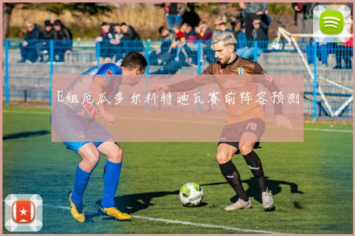 E组厄瓜多尔科特迪瓦赛前阵容预测