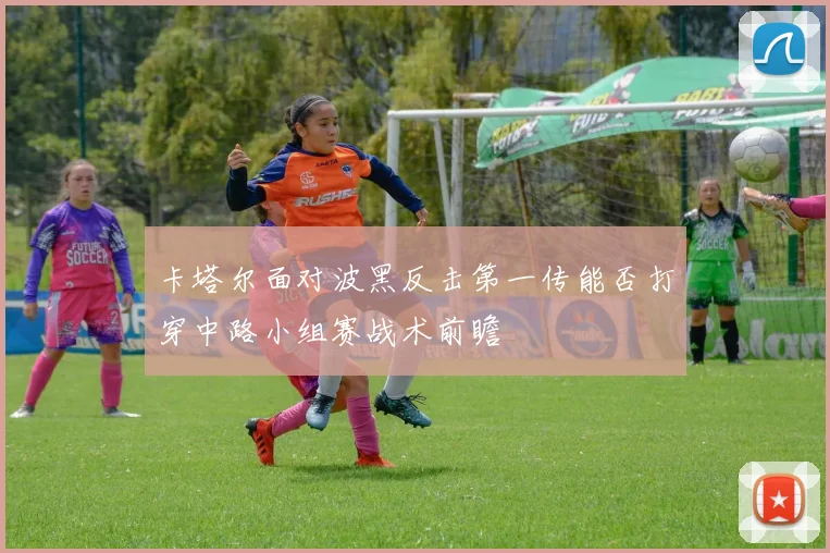 卡塔尔面对波黑反击第一传能否打穿中路小组赛战术前瞻