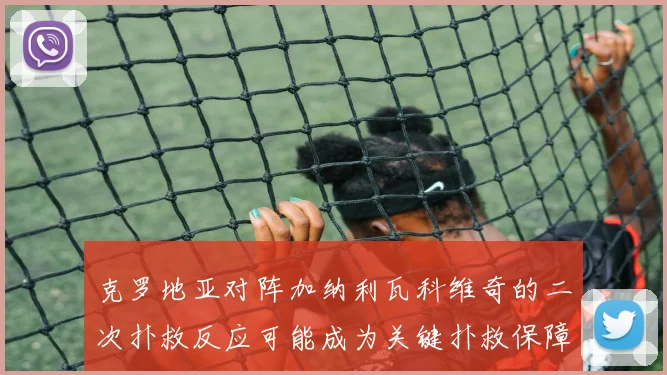 克罗地亚对阵加纳利瓦科维奇的二次扑救反应可能成为关键扑救保障